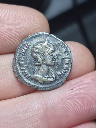 164 denier julia mammee - denier,
